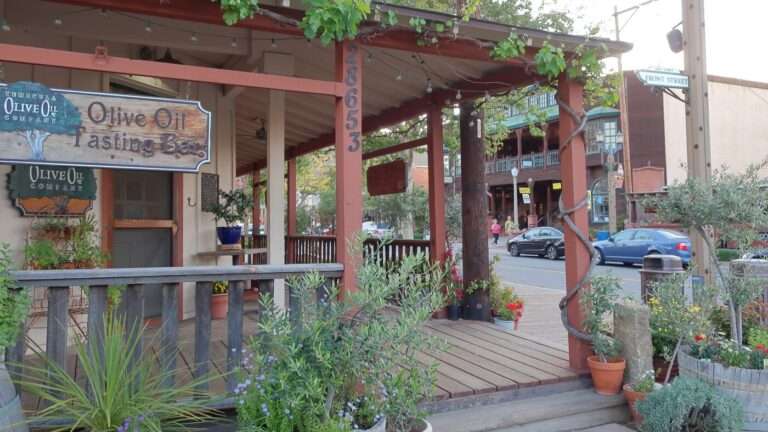 The vine-wrapped porch of an olive-oil tasting room on Old Town Temecula's Front Street